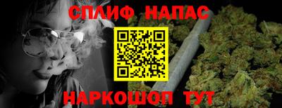 амф Обь