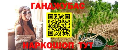 амф Обь