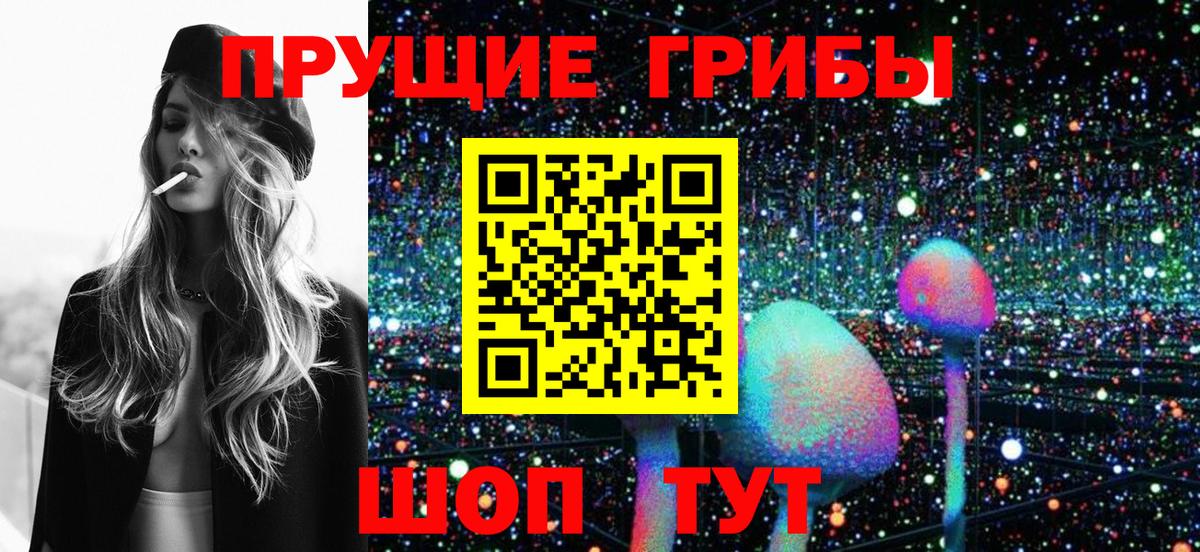 Спасск-Дальний  Галлюциногенные грибы Cubensis  Вход с VPN 